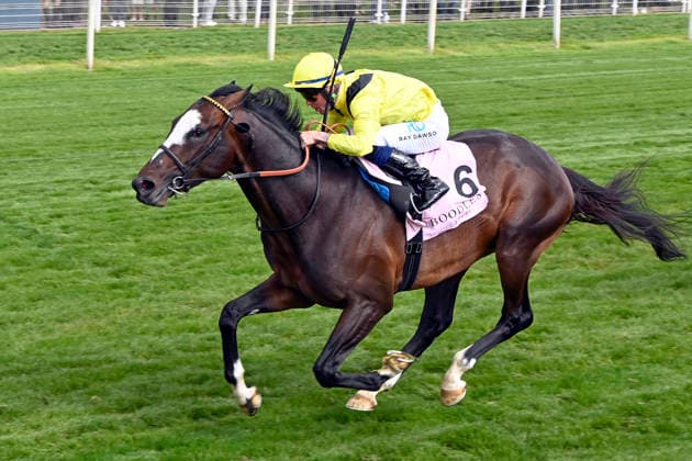 15 05 2026, York, North Yorkshire, GBR Rahiebb with Ray Dawson up wins the Yorkshire Cup York racecourse horse, jockey, Rahiebb, Dawson, win, finish, finish 260515C993YORK JPG
