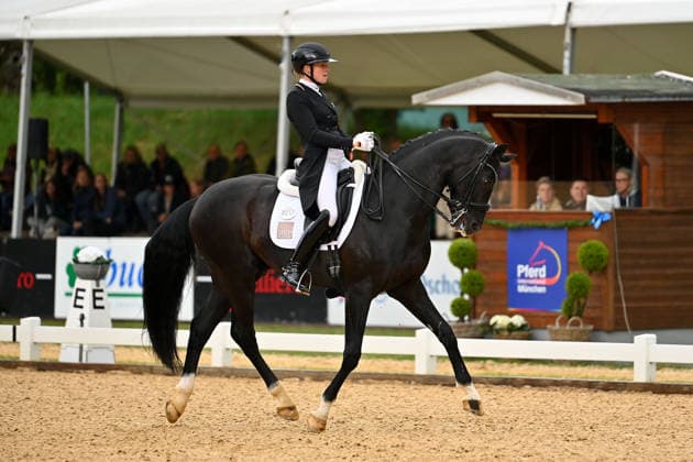 Katharina HEMMER on Special Gold PCH, Action,Dressage,Dressage Riding Horse International 2026 on 15 05 2026 in Munich Riem,Olympia Reitanlage Â