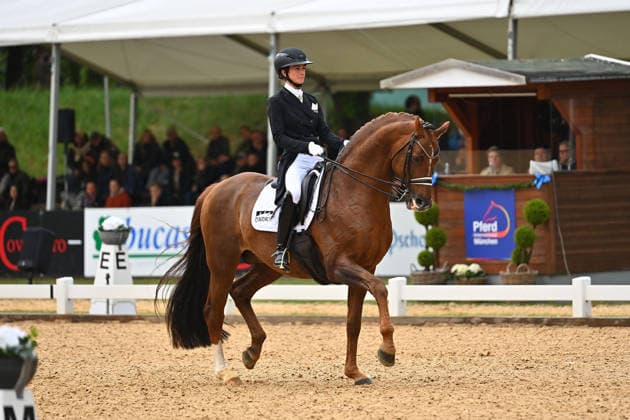 Equestrian sport, Horse International 2026 in Munich, Dressage
