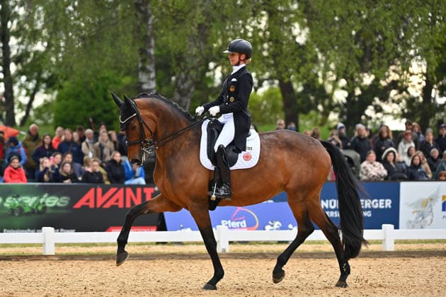 Jessica VON BREDOW WERNDL on Times Kismet, Action,Dressage,Dressage Horse International 2026 on 15 05 2026 in Munich Riem,Olympia Equestrian Center Â
