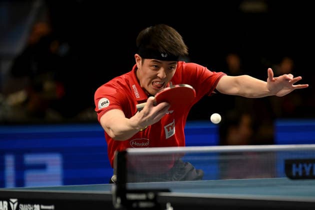 Table tennis, CL, Borussia Düsseldorf - Alliance Nimes