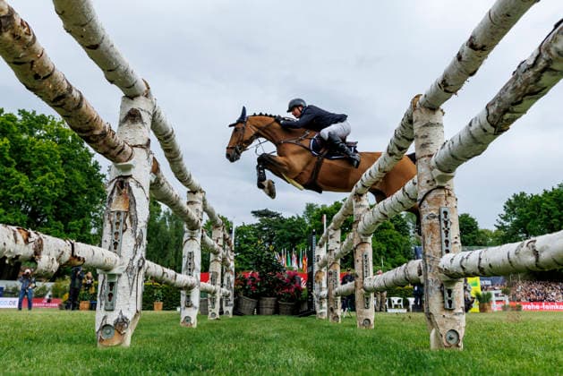 HAMBURG Al Shira aa 95 German Jumping and Dressage DERBY 2026, HAMBURG Al Shira aa 95 German Jumping and Dressage DERBY 2026 TILLMANN Frederic GER , DSP Comanche VL Stechen Jump Off Melitta presents 94 German Jumping Derby Al Shira aa Derby Tour CSI4 Int jumping competition with jump off 1,55m Hamburg, Jenischpark, Derby Park Klein Flottbek 17 May 2026