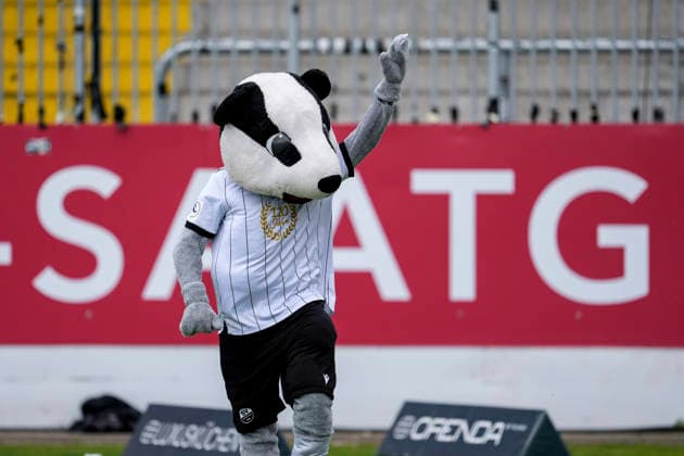 Hardi mascot, SV Sandhausen, SVS , single picture, single photo, action, action, in special jersey 110 years SV Sandhausen SVS , 20 05 2026, Sandhausen Germany , football, anniversary match, SV Sandhausen Eintracht Frankfurt xozx