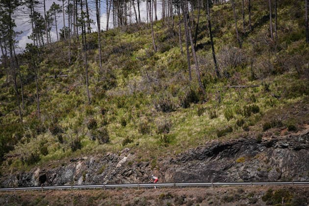 the race during Stage 11 of the Giro d™Italia, from Porcari to Chiavari, Italy, Wednesday, May 20, 2026.  Copyright: xMarcoxAlpozzi LaPressex