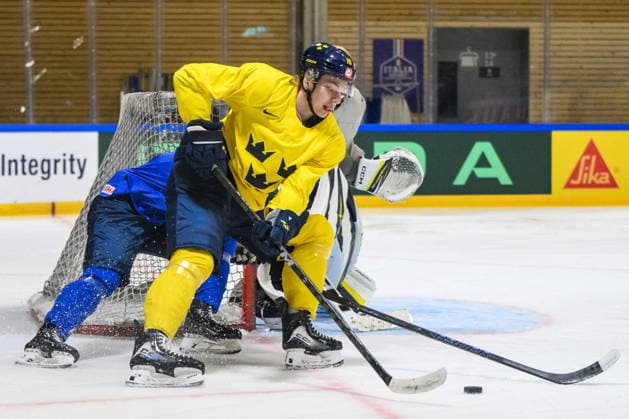 Ice Hockey, World Championship, National Team Sweden Training