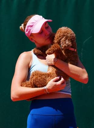The toy poodle of Anastasia Potapova attends her training session with Emma Raducanu French Open Tennis, Friday Previews, Qualifying and Practice, Tennis, Roland Garros, Paris, France - 22 May 2026Paris Roland Garros France EDITORIAL USE ONLY No use with unauthorised audio, video, data, fixture lists, club league logos or live services. Online in-match use limited to 120 images, no video emulation. No use in betting, games or single club league player publications. Copyright: xJavierxGarcia Shutterstockx 16887306bb