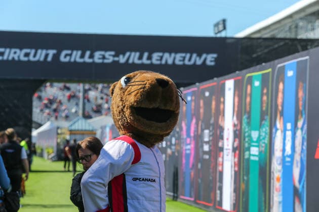 IPA84984065 - Paddock Atmosphere - Canada GP Mascot during the Free Practice of Formula 1 AWS Canadian Grand Prix 2026 at Circuit Gilles Villeneuve in Montreal, Canada. Round 7 of the 2026 FIA Formula One World Championship, WM, Weltmeisterschaft held May 22-24, 2026. The Circuit Gilles Villeneuve on Ile Notre-Dame in Montreal, named after the legendary Ferrari driver, hosts the Sprint format for the seventh round. This event weekend features the F1 Sprint format, with a Sprint Shootout and Sprint Race in addition to the standard qualifying session and Grand Prix. during Formula 1 AWS Canadian Grand Prix 2026 - Round 7 - Circuit Gilles Villeneuve, Formula 1 Championship in , , May 22 2026 Copyright: xStefanoxFacchin xAlessioxDexMarcox xAvens-images.com AvensImages IPAxSportx xx 84984065