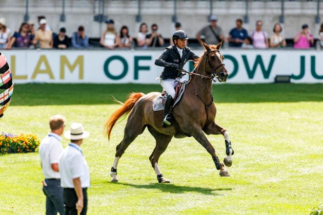 AACHEN TSCHIO 2026, AACHEN TSCHIO 2026 EPAILLARD Julien FRA , Easy Up de Grandry CSI5 Jumping competition penalties time Prize of CHIO Aachen CAMPUS Aachen, Soers Riding Stadium 23 May 2026