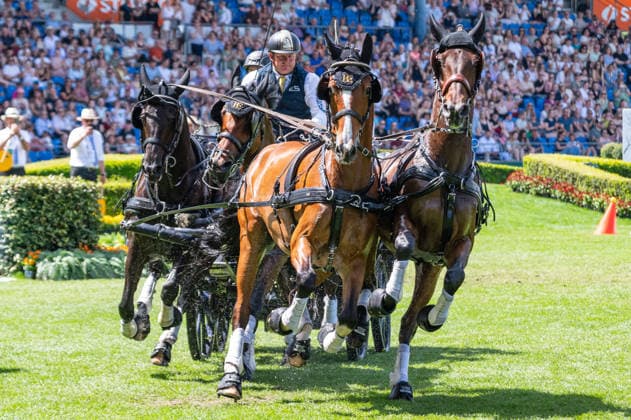 Team Richard Vogel Boyd Exellduring the TSCHIO 2026 (CHIO 2026) - MERKUR CASINO-Cup - Combined jumping and driving competition at the Allianz Park in Aachen, Germany Copyright: xMartinxPitschx xSPPx Sportspressphoto_152150