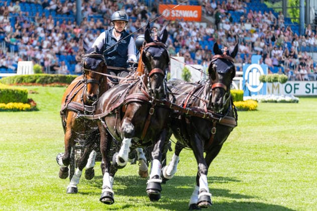 * during the TSCHIO 2026 (CHIO 2026) - MERKUR CASINO-Cup - Combined jumping and driving competition at the Allianz Park in Aachen, Germany Copyright: xMartinxPitschx xSPPx Sportspressphoto_152152