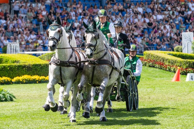Team Iris Michels Bram Chardon during the TSCHIO 2026 (CHIO 2026) - MERKUR CASINO-Cup - Combined jumping and driving competition at the Allianz Park in Aachen, Germany Copyright: xMartinxPitschx xSPPx Sportspressphoto_152184