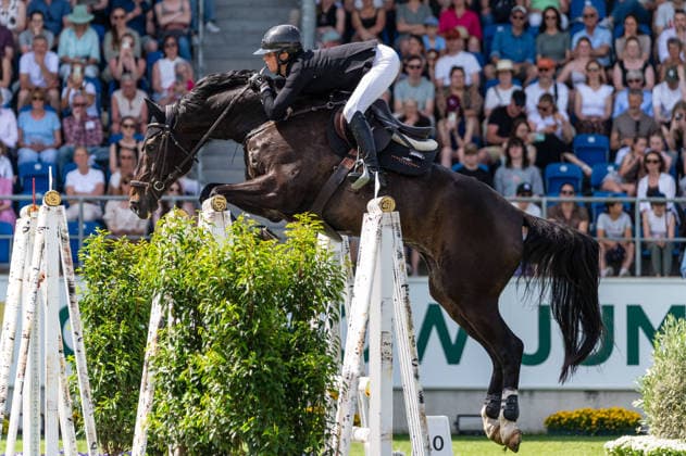 129 Sandra Auffarth on Comcador Old (GER) during the TSCHIO 2026 (CHIO 2026) - 2nd Qualifier Rolex Grand Prix - CSI5* - Jumping competition with jump-off at the Allianz Park in Aachen, Germany Copyright: xMartinxPitschx xSPPx Sportspressphoto_152453