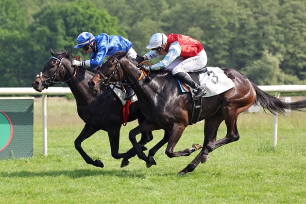 24 05 2026, Hoppegarten, Brandenburg, GER Gua Lipa left with Andrea Ricupa wins the Diana Trial Galopprennbahn Hoppegarten 260524D703HOPPEGARTEN JPG