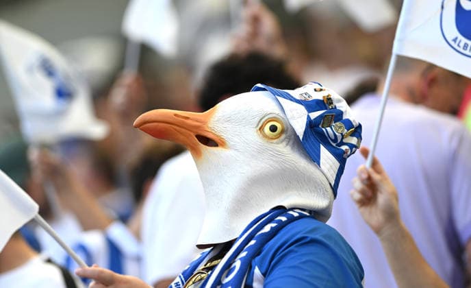 A Brighton Seagulls fan during the Premier League match between Brighton and Hove Albion and Manchester United, ManU at the American Express Stadium , Brighton , UK - 24th May 2026 Brighton & Hove Albion vs Manchester United Premier League Football, Amex Stadium, Sussex, United Kingdom - 24 May 2026Brighton Amex Stadium Sussex United Kingdom EDITORIAL USE ONLY No use with unauthorised audio, video, data, fixture lists, club league logos or live services. Online in-match use limited to 120 images, no video emulation. No use in betting, games or single club league player publications. . No mer  Copyright: xSimonxDack TPI Shutterstockx 16895822ab