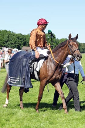 25 05 2026, Hanover, Lower Saxony, GER Alpenveilchen with Bauyrzhan Murzabayev after the victory Hanover racecourse, Neue Bult 260525D983HANNOVER JPG