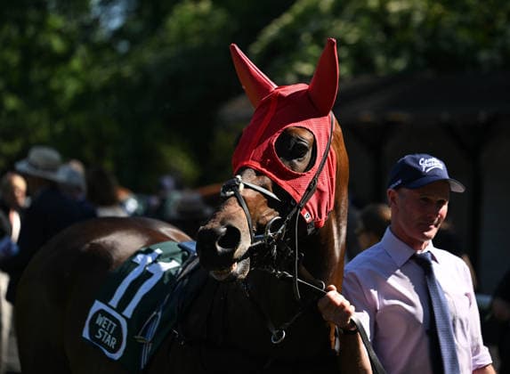 25 05 2026, xophax, kölngalopp , racecourse Weidenpesch , charity race day , horse with red blinders Cologne