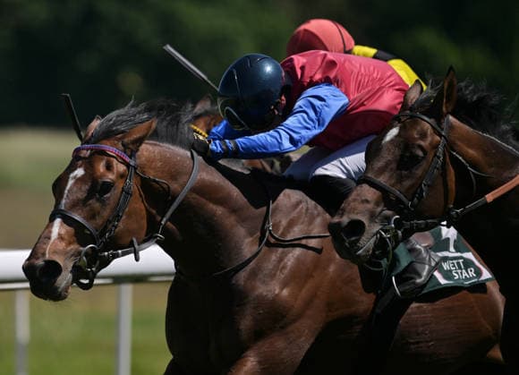 25 05 2026, xophax, kölngalopp , racecourse , Weidenpesch , charity race day , jockey , horse , riding Cologne