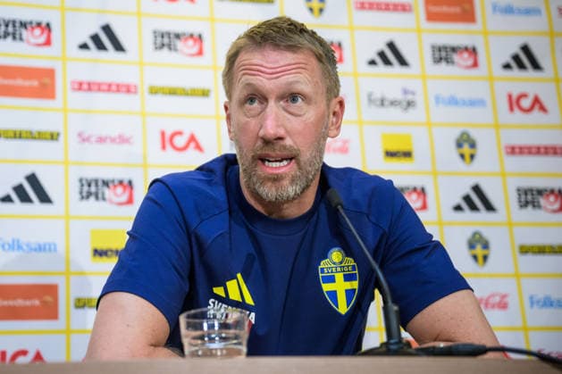 Football, Sweden national team, Press conference