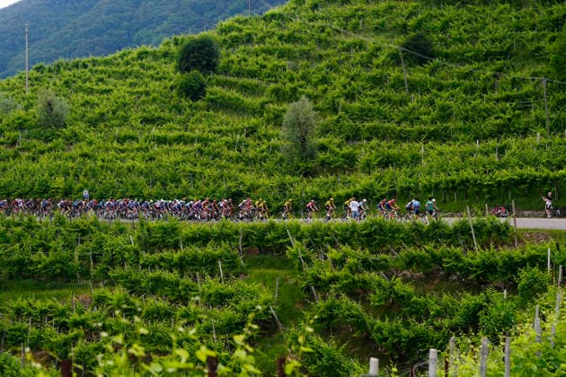 The pack riders during Stage 18 of the Giro d’Italia, from Fai della Paganella to Pieve di Soligo, Italy, Thursday, May 28, 2026.  Copyright: xFabioxFerrari LaPressex