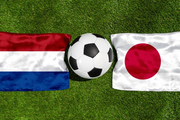 FOTOMONTAGE, Fußball-Weltmeisterschaft 2026: Nationalflaggen von Niederlande und Japan mit Fußball auf Rasen. Symbolbild zum WM-Gruppenspiel am 14 Juni bei der FIFA Fussball-Weltmeisterschaft 2026