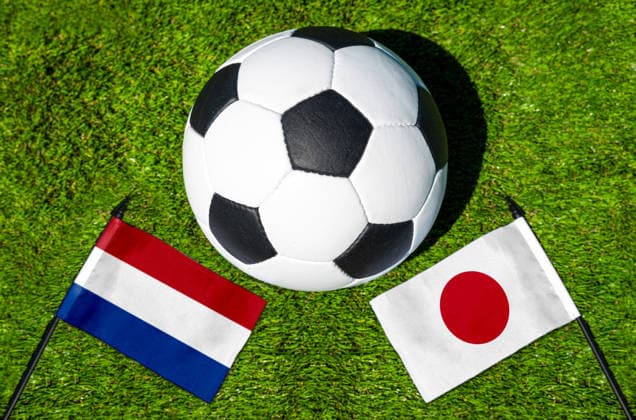 FOTOMONTAGE, Fußball-Weltmeisterschaft 2026: Nationalflaggen von Niederlande und Japan mit Fußball auf Rasen. Symbolbild zum WM-Gruppenspiel am 14 Juni bei der FIFA Fussball-Weltmeisterschaft 2026