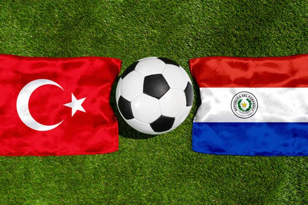 FOTOMONTAGE, Fußball-Weltmeisterschaft 2026: Nationalflaggen von Türkei und Niederlande mit Fußball auf Rasen. Symbolbild zum WM-Gruppenspiel am 20 Juni bei der FIFA Fussball-Weltmeisterschaft 2026