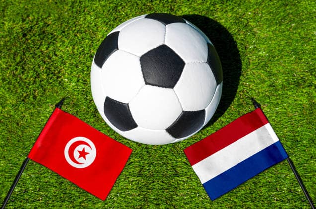 FOTOMONTAGE, Fußball-Weltmeisterschaft 2026: Nationalflaggen von Tunesien und Niederlande mit Fußball auf Rasen. Symbolbild zum WM-Gruppenspiel am 26 Juni bei der FIFA Fussball-Weltmeisterschaft 2026