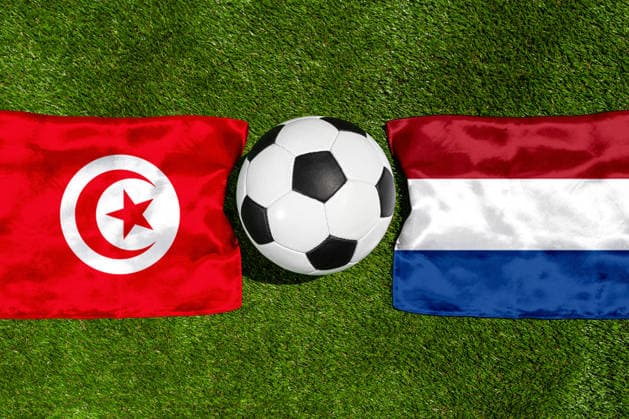 FOTOMONTAGE, Fußball-Weltmeisterschaft 2026: Nationalflaggen von Tunesien und Niederlande mit Fußball auf Rasen. Symbolbild zum WM-Gruppenspiel am 26 Juni bei der FIFA Fussball-Weltmeisterschaft 2026