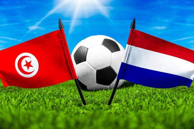 FOTOMONTAGE, Fußball-Weltmeisterschaft 2026: Nationalflaggen von Tunesien und Niederlande mit Fußball auf Rasen. Symbolbild zum WM-Gruppenspiel am 26 Juni bei der FIFA Fussball-Weltmeisterschaft 2026