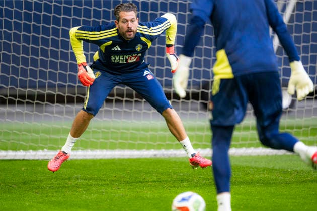 Football, Sweden national team, Training