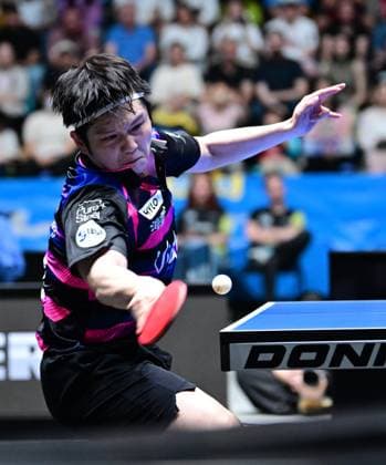 Olympic champion Fan Zhendong in the final of the TTBL Final Four in Frankfurt The Chinese Olympic champion Fan Zhendong from 1 FC Saarbrücken TT in action against Borussia Düsseldorf in the final of the TTBL Final Four in Frankfurt am Main at the Süwag Energie Arena on May 31, 2026 Frankfurt am Main Hessen Germany