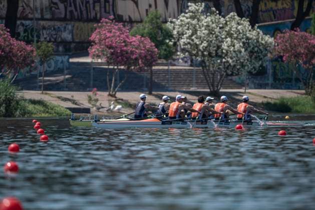 Seville, Spain. 30 May 2026. Rowers Mats van Sabben, Thijs Ruiken, Lucas Keijzer and Percijn van Haeringen (Netherlands) going head to head with James Cartwright, James Gare, Matthew Haywood and Rory Harris (Great Britain) during the M4x Men s Quadruple Sculls Semifinal 1 Race at the World Rowing Cup 1 2026 at CEAR La Cartuja. Seville Spain Copyright: xDavidxSarmientox xVWPicsx DSG-0891