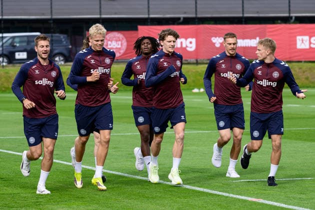 Football, Denmark national team, Training