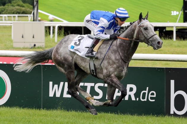04 06 2026, Iffezheim, Baden Wuerttemberg, GER Sir Tommy Cen with Aurelien Lemaitre wins the Kronimus 48 Badener Meile Galopprennbahn Baden Baden, Iffezheim Horse, Jockey, Sir Tommy Cen, Lemaitre, Victory, Finish, Finish 260604B986IFFEZHEIM JPG