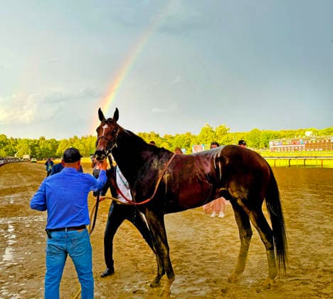 Golden Tempo, leaves the winners circle with a rainbow behind him after winning the 2026 Belmont Stakes at Saratoga Race Course in Saratoga Springs, NY on June 6, 2026,  SAR20260606110 MARKxABRAHAM