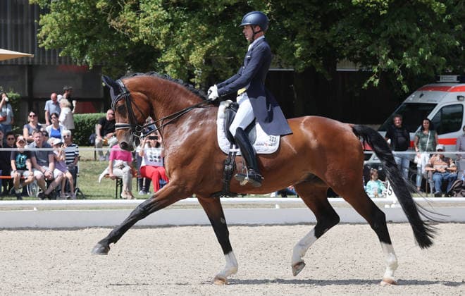, Sieger Thomas Wagner ( GER ) auf Escolux
