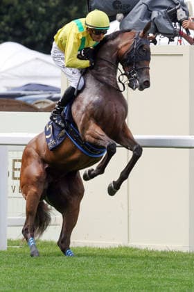 June 17, 2026, Ascot, Windsor, GBR Celtic Dispute rears up with Christophe Soumillon on the way to the start at Ascot Racecourse Horse, Jockey, Celtic Dispute, Soumillon, bucking, rearing, gallop 260617D531ROYAL ASCOT JPG,detected_source_language