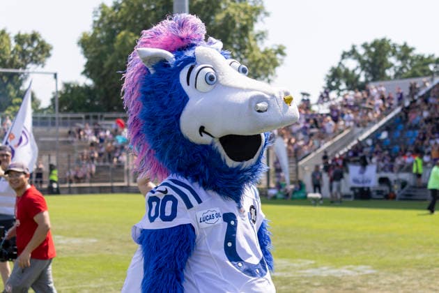 EFA European Football Alliance Frankfurt Galaxy Prague Lions, June 21, 2026 Blue, Indianapolis Colts mascot, Frankfurt Galaxy Prague Lions, Frankfurt, PSD Bank Arena, June 21, 2026,detected_source_language Copyright: xBEAUTIFULxSPORTS Gawlikx