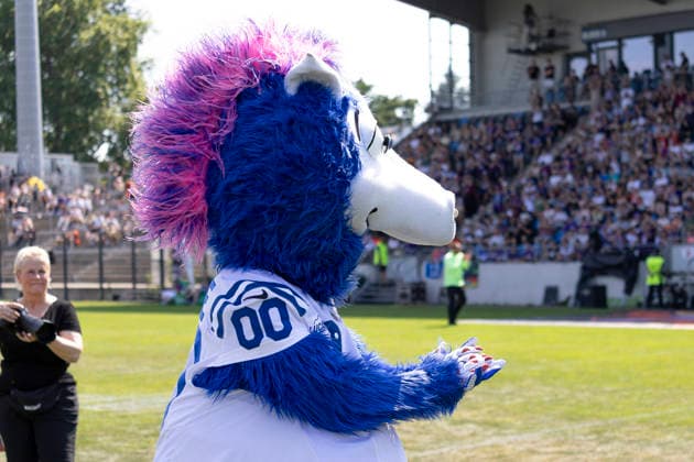 EFA European Football Alliance Frankfurt Galaxy Prague Lions, June 21, 2026 Blue, Indianapolis Colts mascot, Frankfurt Galaxy Prague Lions, Frankfurt, PSD Bank Arena, June 21, 2026,detected_source_language Copyright: xBEAUTIFULxSPORTS Gawlikx