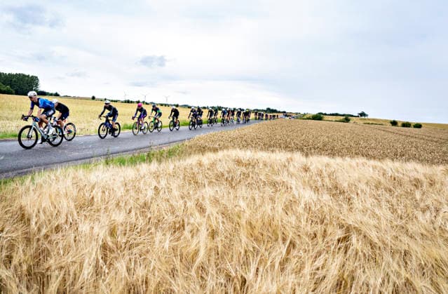 PostNord Denmark Tour Stage 3: The peloton passes a cornfield at Ravning during Stage 3 of the PostNord Denmark Tour on Friday, July 31, 2026. The stage is 202.9 kilometers long and runs from Fredericia to Vejle, Vejle, Denmark.  Copyright: HenningxBagger HenningxBaggerx spdk20260731-155011-L