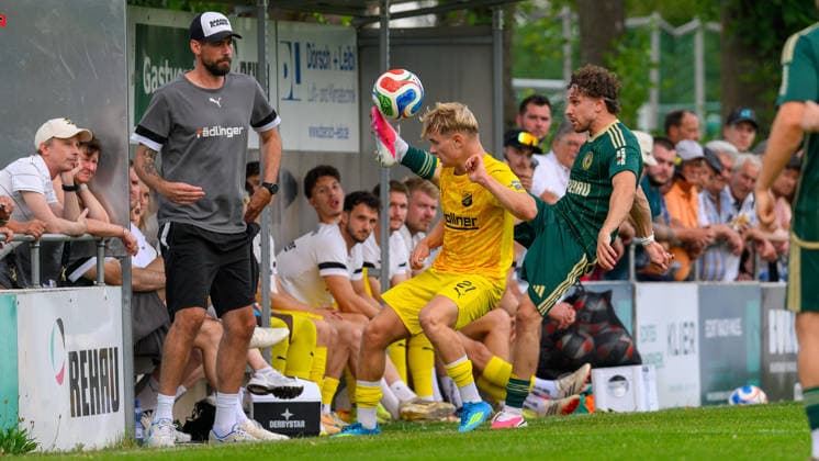 July 31, 2026 Soccer Season 2026–2027 Bavarian Regional League Matchday 02 SC Eltersdorf vs. DJK Vilzing JoTe xjoxtex Thorsten Kirschbaum, Coach of DJK Vilzing Max Meyer 21, DJK Vilzing Valantis Floros 2, SC Eltersdorf