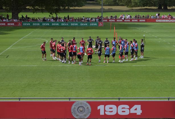 August 6, 2026, xophax, Soccer, Bundesliga 1, 1. FC Köln Training at the Geissbockheim, 1. FC Köln, 1st Place, Fans, Spectators, Cologne