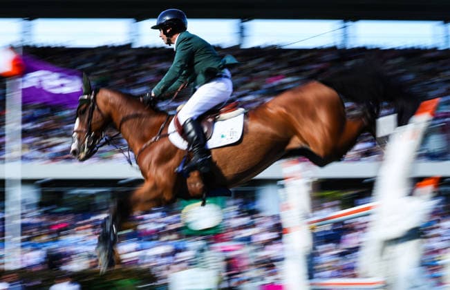Equestrian sports, Dublin Horse Show, show jumping