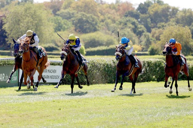 August 8, 2026, Krefeld, North Rhine-Westphalia, GER: Best Charming, ridden by Bauyrzhan Murzabayev, wins at the Krefeld Stadtwald Racetrack. Horse, jockey, Best Charming, Murzabayev, Victory, Finish, Finish Line 260808SG914KREFELD JPG
