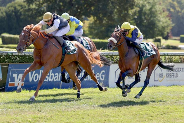 August 8, 2026, Krefeld, North Rhine-Westphalia, GER: Best Charming, ridden by Bauyrzhan Murzabayev, wins at the Krefeld Stadtwald Racetrack. Horse, jockey, Best Charming, Murzabayev, Victory, Finish, Finish Line 260808SG915KREFELD JPG