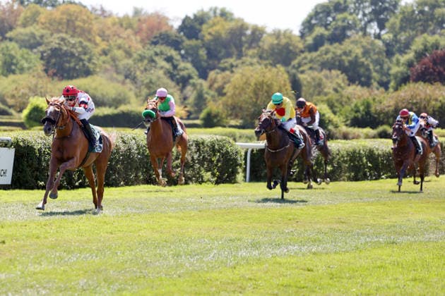 August 8, 2026, Krefeld, North Rhine-Westphalia, GER Darwinist with Sibylle Vogt wins at the Krefeld Stadtwald Racetrack Horse, jockey, Darwinist, Vogt, victory, finish line, finish 260808SG929KREFELD JPG