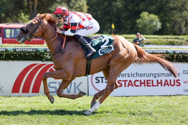 August 8, 2026, Krefeld, North Rhine-Westphalia, GER Darwinist with Sibylle Vogt wins at the Krefeld Stadtwald Racetrack Horse, jockey, Darwinist, Vogt, victory, finish line, finish 260808SG931KREFELD JPG