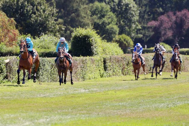 August 8, 2026, Krefeld, North Rhine-Westphalia, GER: Why Limit, ridden by Enzo Crublet, wins at the Krefeld Stadtwald Racetrack; horse, jockey, Why Limit, Crublet, victory, finish line, finish 260808SG942KREFELD JPG