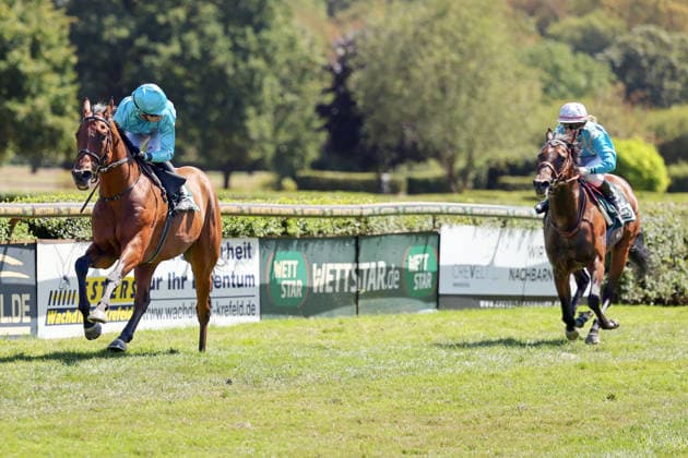 August 8, 2026, Krefeld, North Rhine-Westphalia, GER Why Limit, ridden by Enzo Crublet, wins at the Krefeld Stadtwald Racetrack Horse, jockey, Why Limit, Crublet, victory, finish line, finish 260808SG943KREFELD JPG