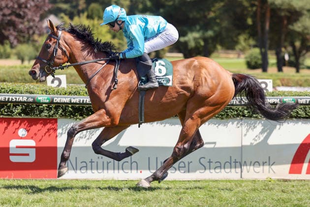 August 8, 2026, Krefeld, North Rhine-Westphalia, GER Why Limit, ridden by Enzo Crublet, wins at the Krefeld Stadtwald Racetrack Horse, jockey, Why Limit, Crublet, victory, finish line, finish 260808SG944KREFELD JPG